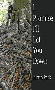 I Promise I'll Let You Down I Promise I'll Let You Down