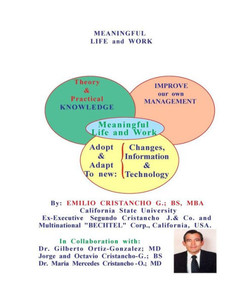 Meaningful Life And Work Meaningful Life And Work
