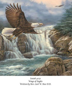 Wings Of Eagles Wings Of Eagles