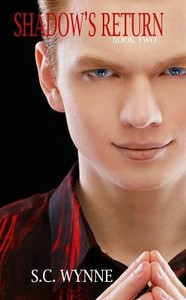 Shadow'S Return