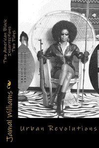 Urban Revolutions : Two American Black Insurrections