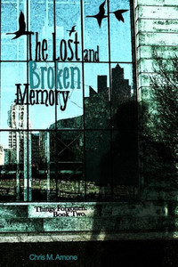 The Lost And Broken Memory The Lost And Broken Memory