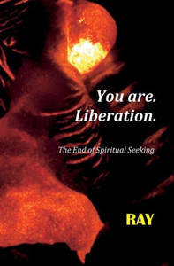 You Are. Liberation. : The End Of Spiritual Seeking