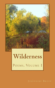 Wilderness : Poems