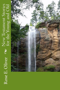 New Testament Stories For The Young And Old New Testament Stories For The Young And Old
