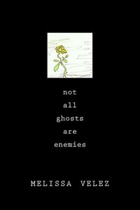 Not All Ghosts Are Enemies Not All Ghosts Are Enemies
