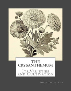 The Crysanthemum : Its Varieties And Cultivation