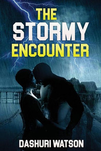The Stormy Encounter The Stormy Encounter