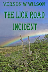 The Lick Road Incident The Lick Road Incident