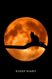 Sleep Diary Full Moon Cat Sleep Diary Full Moon Cat