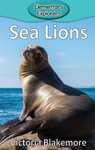 Sea Lions Sea Lions