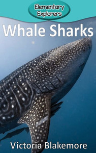 Whale Sharks Whale Sharks