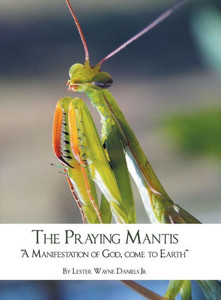 The Praying Mantis : A Manifestation Of God, Come To Earth