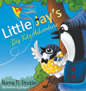 Little Jay'S Big Kite Adventure Little Jay'S Big Kite Adventure