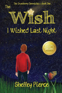 The Wish I Wished Last Night The Wish I Wished Last Night