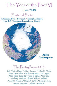 The Year Of The Poet Vi June 2019 The Year Of The Poet Vi June 2019