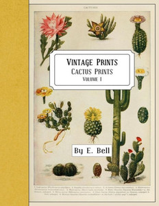 Vintage Prints : Cactus Prints