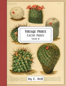 Vintage Prints : Cactus Prints