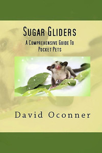Sugar Gliders