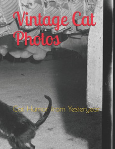 Vintage Cat Photos: Cat Humor From Yesteryear