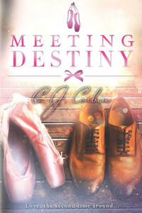 Meeting Destiny Meeting Destiny