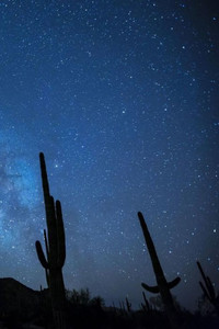 Milky Way With Cactus: The Milky Way Is The Galaxy That Contains Our Solar System. The Name Describes The Appearance From Earth: A Hazy Band Milky Way With Cactus: The Milky Way Is The Galaxy That Contains Our Solar System. The Name Describes The Appearance From Earth: A Hazy Band