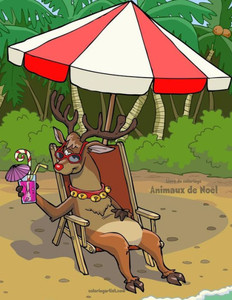 Livre De Coloriage Animaux De Noël 3 & 4 Livre De Coloriage Animaux De Noël 3 & 4