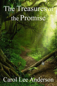 The Treasures Of The Promise The Treasures Of The Promise