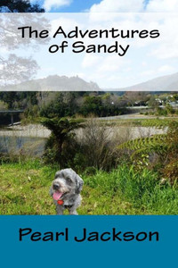 The Adventures Of Sandy The Adventures Of Sandy