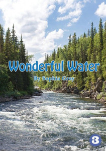 Wonderful Water Wonderful Water