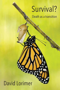 Survival? Death As A Transition Survival? Death As A Transition