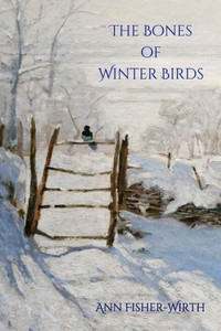 The Bones Of Winter Birds The Bones Of Winter Birds