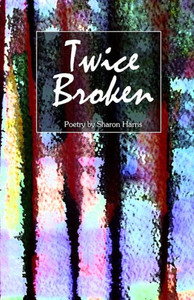 Twice Broken Twice Broken