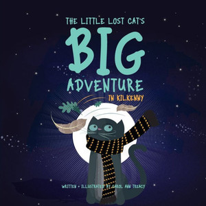 The Little Lost Cat'S Big Adventure In Kilkenny The Little Lost Cat'S Big Adventure In Kilkenny