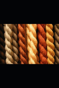 Plus Ultra Plus Ultra