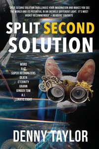 Split Second Solution Split Second Solution