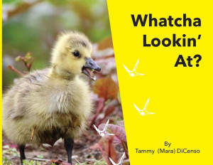 Whatcha Lookin' At? Whatcha Lookin' At?