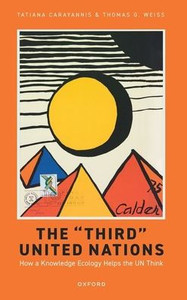 The 'Third' United Nations: How A Knowledge Ecology Helps The Un Think The 'Third' United Nations: How A Knowledge Ecology Helps The Un Think