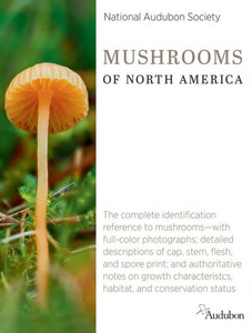 National Audubon Society Mushrooms Of North America (National Audubon Society Complete Guides)
