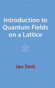 Introduction To Quantum Fields On A Lattice (Cambridge Lecture Notes In Physics)