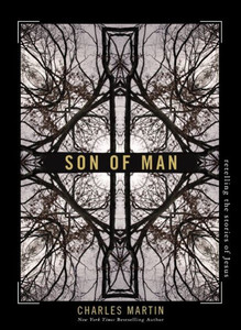 Son Of Man: Retelling The Stories Of Jesus