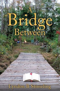 A Bridge Between A Bridge Between