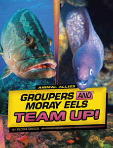 Groupers And Moray Eels Team Up! (Animal Allies)