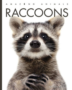 Raccoons (Amazing Animals)