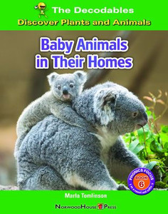 Baby Animals In Their Homes Baby Animals In Their Homes