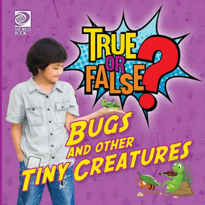 True Or False? Bugs And Other Tiny Creatures True Or False? Bugs And Other Tiny Creatures