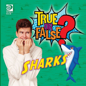 True Or False? Sharks True Or False? Sharks