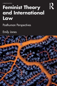 Feminist Theory And International Law Feminist Theory And International Law