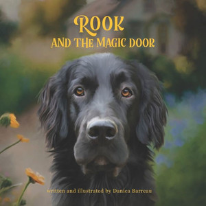 Rook And The Magic Door: Written And Illustrated By Danica Barreau