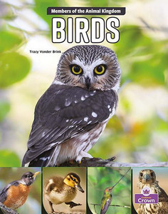 Birds (Members Of The Animal Kingdom)